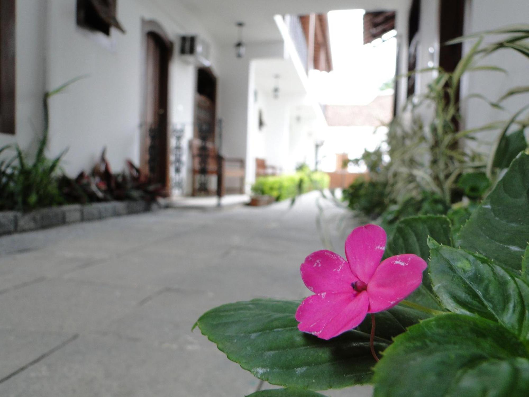 Pousada Doce Paraty Exteriör bild